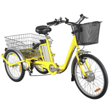3 Wheel Pedalassist 36V 250W Electric Bike Bicycle for Sale
